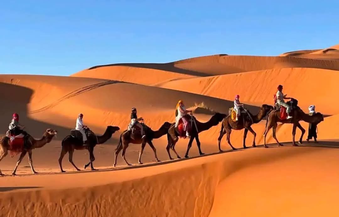 One night camel ride in desert Merzouga luxury desert camp and sandboarding