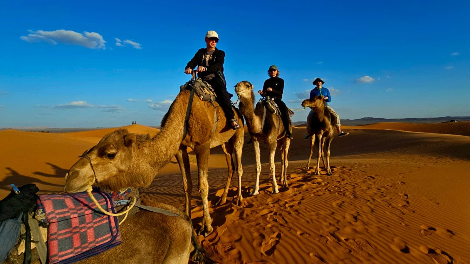 7 days tour from Tangier to Marrakech via Chefchaouen and Merzouga