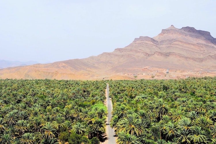 Ruta de 6 días desde Marrakech al desierto de Merzouga pasando por Zagora