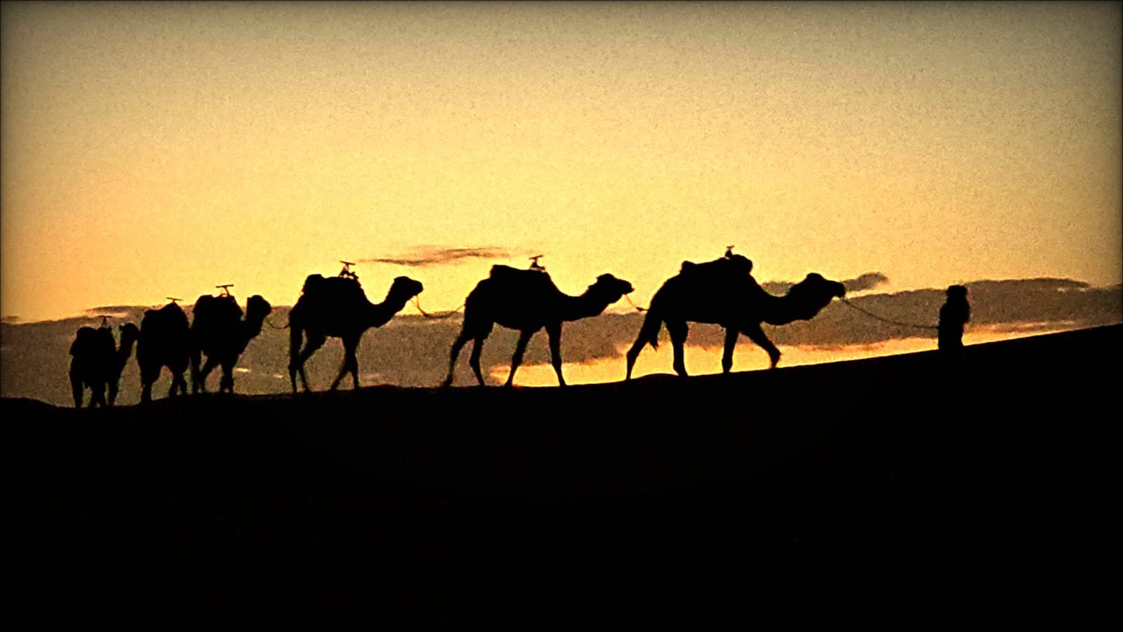 3-Night Morocco Camel Trek in Merzouga - Authentic experience