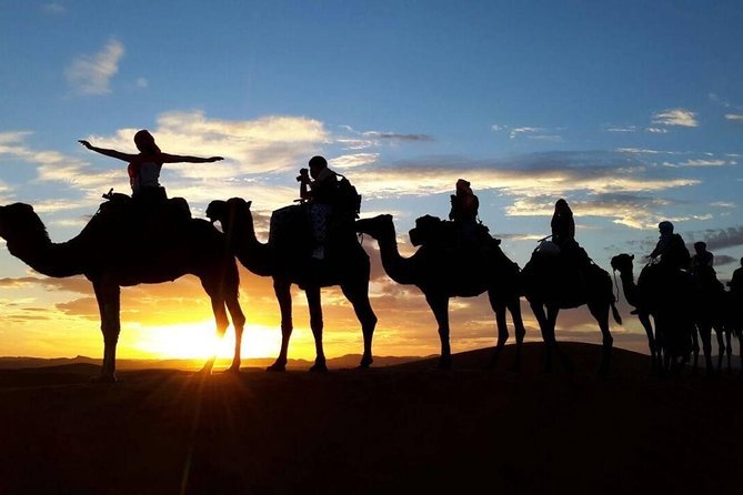 2 Day Desert Tour from Ouarzazate to Merzouga Erg Chebbi - One Nigh Camel Ride