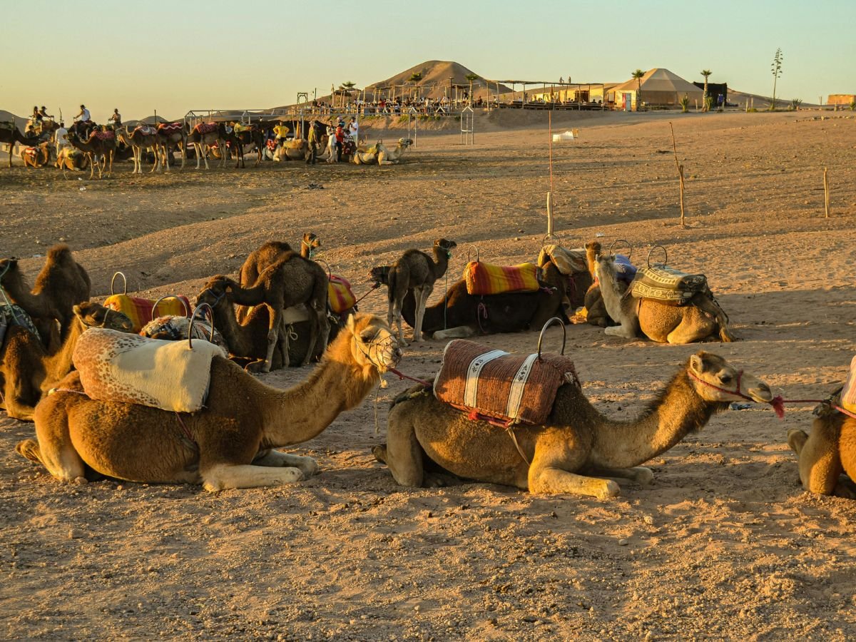 Which Is the Best Sahara Desert: Merzouga or Agafay ?